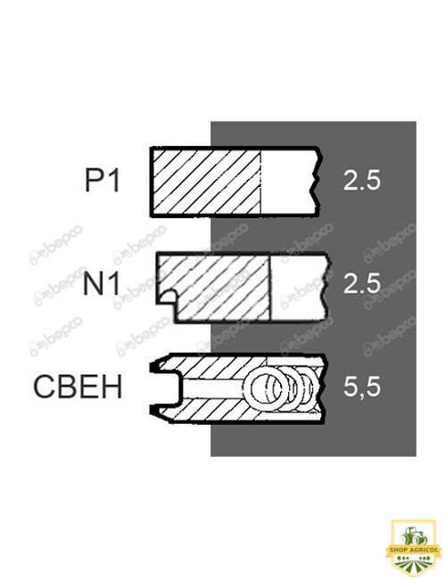 Segmenti motor Fiat 25/34-252,34-252,1909172, 89-2050-0000,